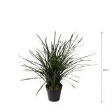 Grass 45 foglie con Vaso Real Touch • 95 cm