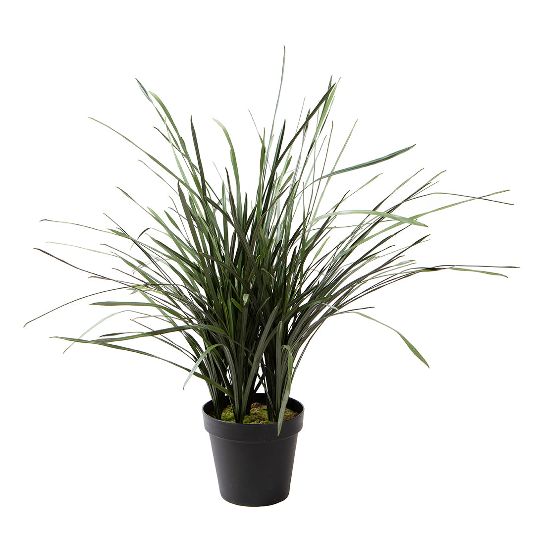 Grass 45 foglie con Vaso Real Touch • 95 cm