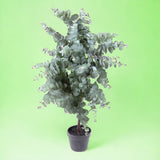 Verde artificiale Pianta di eucalyptus in vaso • 110 cm