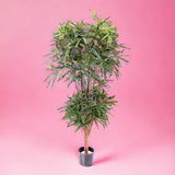 Verde artificiale Aralia a 2 diramazioni 954 foglie • 150 cm