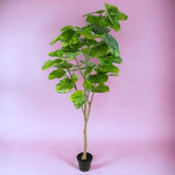 Verde artificiale Pianta ficus real touch vaso • 200 cm