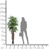 Verde artificiale Ficus weeping con 2821 foglie • 152 cm