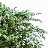 Verde artificiale Ficus weeping con 2821 foglie • 152 cm