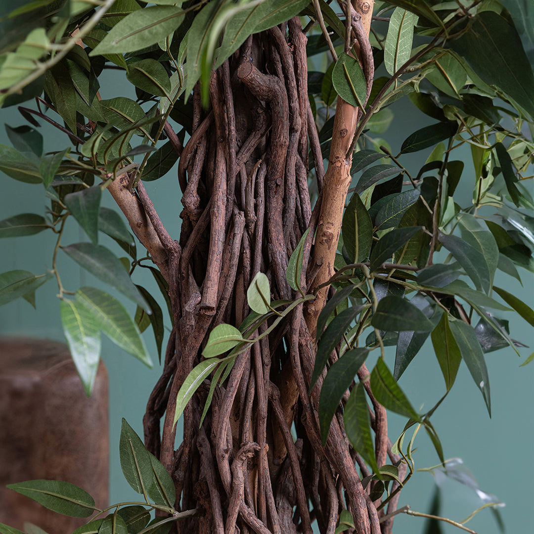 Verde artificiale Ficus weeping con 2821 foglie • 152 cm