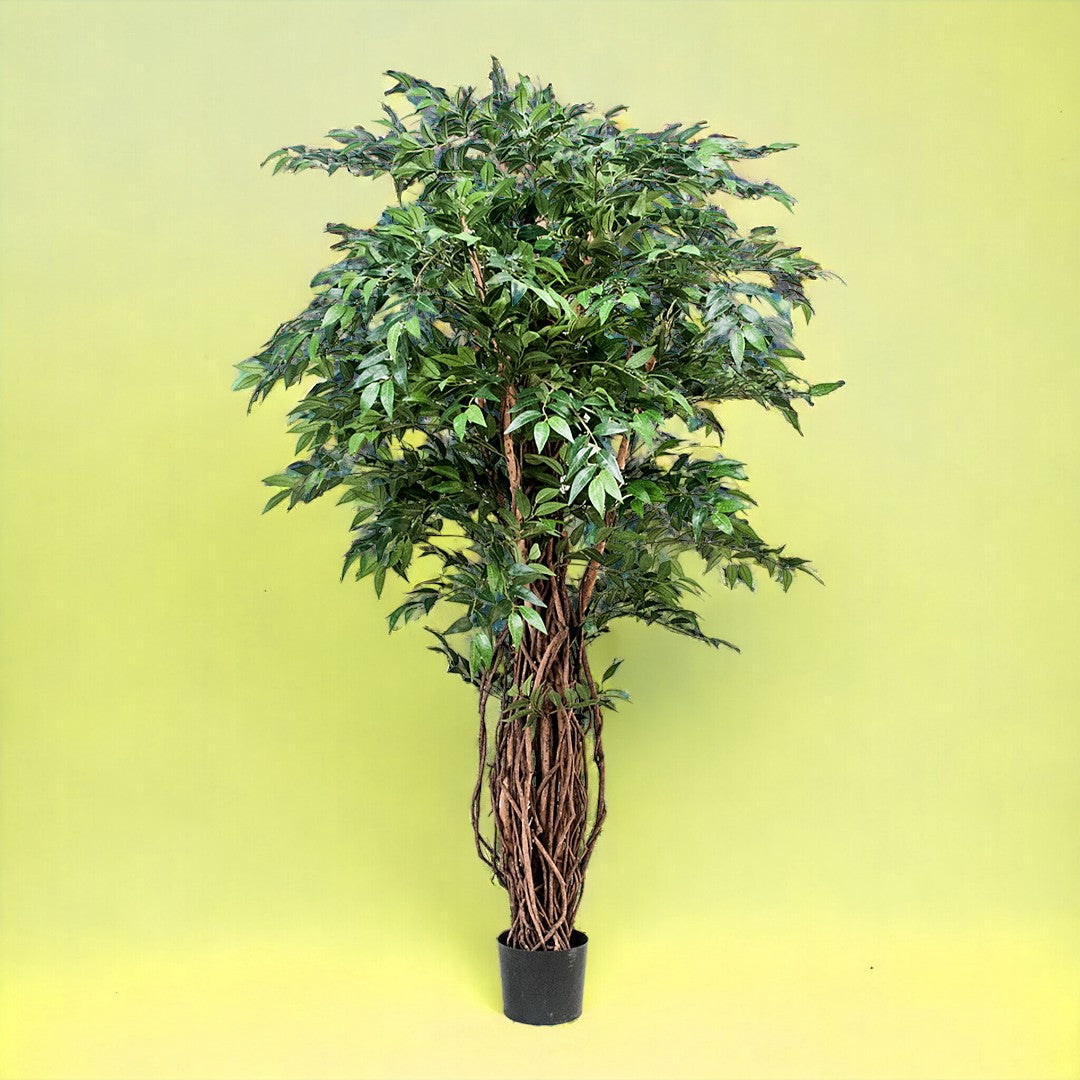 Verde artificiale Ficus weeping con 2821 foglie • 152 cm