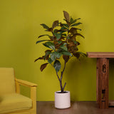 Ficus Real Touch 64 foglie con Vaso • 130 cm