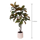 Ficus Real Touch 64 foglie con Vaso • 130 cm