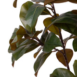 Ficus Real Touch 64 foglie con Vaso • 130 cm