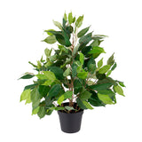 Verde artificiale Ficus con vaso • 55 cm