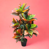 Verde artificiale Croton con vaso • 160 cm