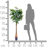 Verde artificiale Pachira 469 foglie vaso • 155 cm