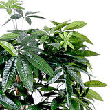Verde artificiale Pachira 469 foglie vaso • 155 cm