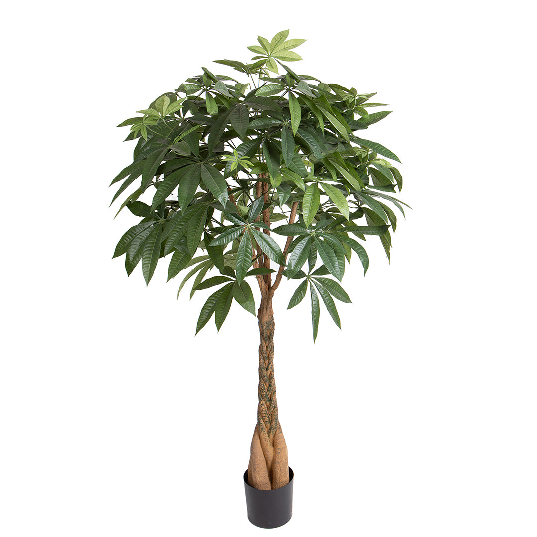 Verde artificiale Pachira 469 foglie vaso • 155 cm