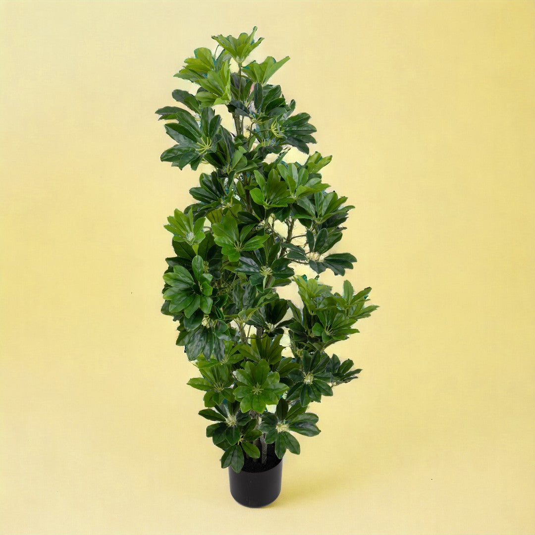 Verde artificiale Pianta di schegglera con vaso • 115 cm