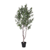 Olivo 1540 foglie con Vaso • 200 cm