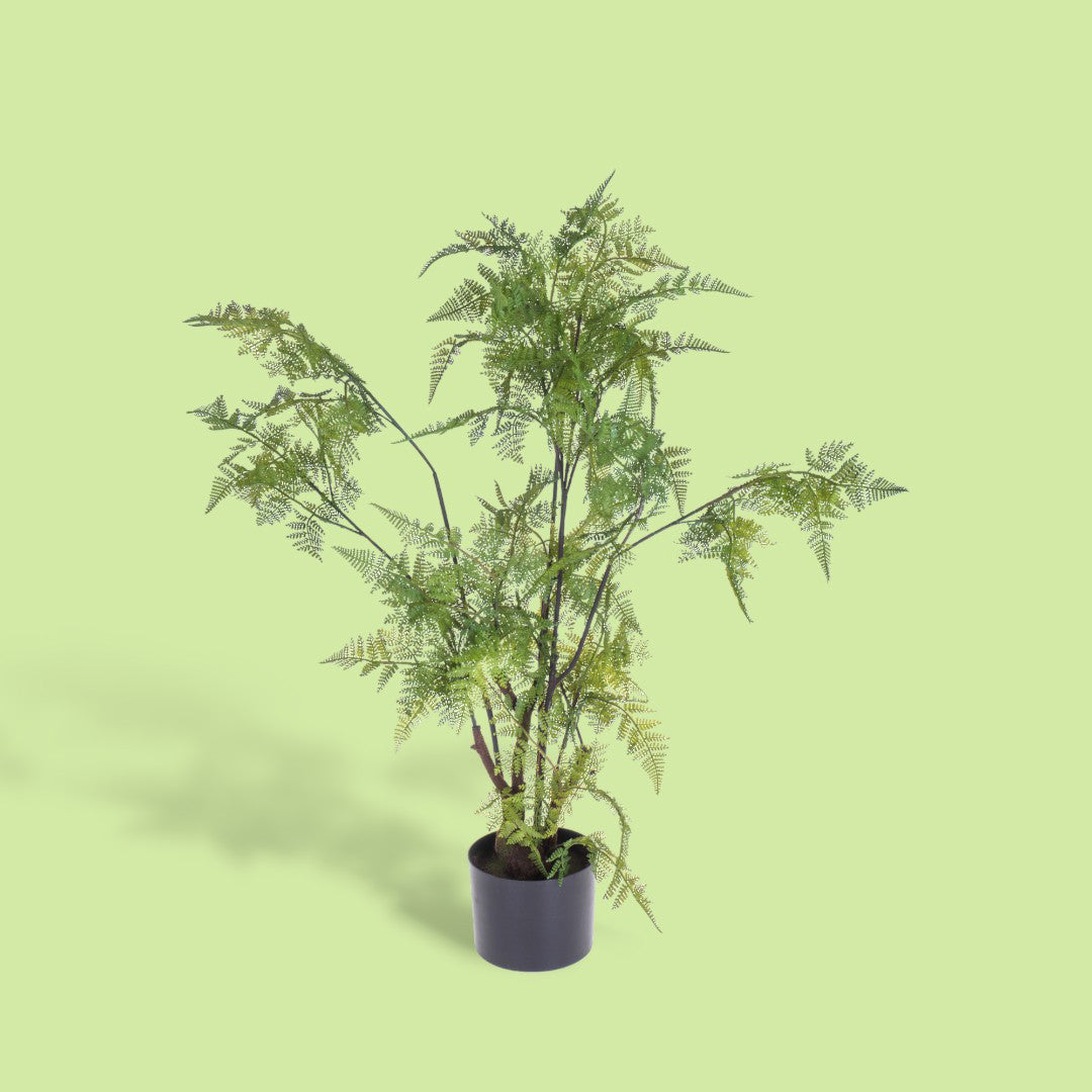 Verde artificiale Pianta felce con vaso • 80 cm