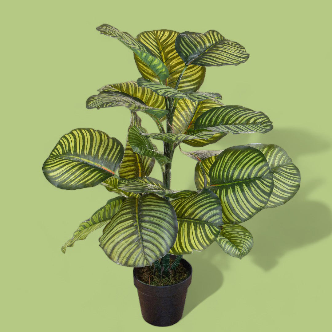 Verde artificiale Calathea in vaso con 22 foglie • 85 cm