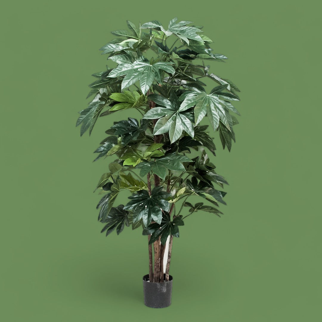 Verde artificiale Aralia composta da 60 foglie • 150 cm