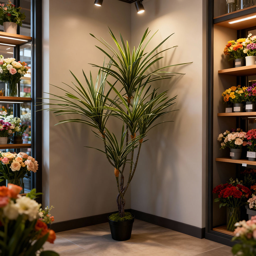 Yucca 145 foglie con Vaso • 110 cm