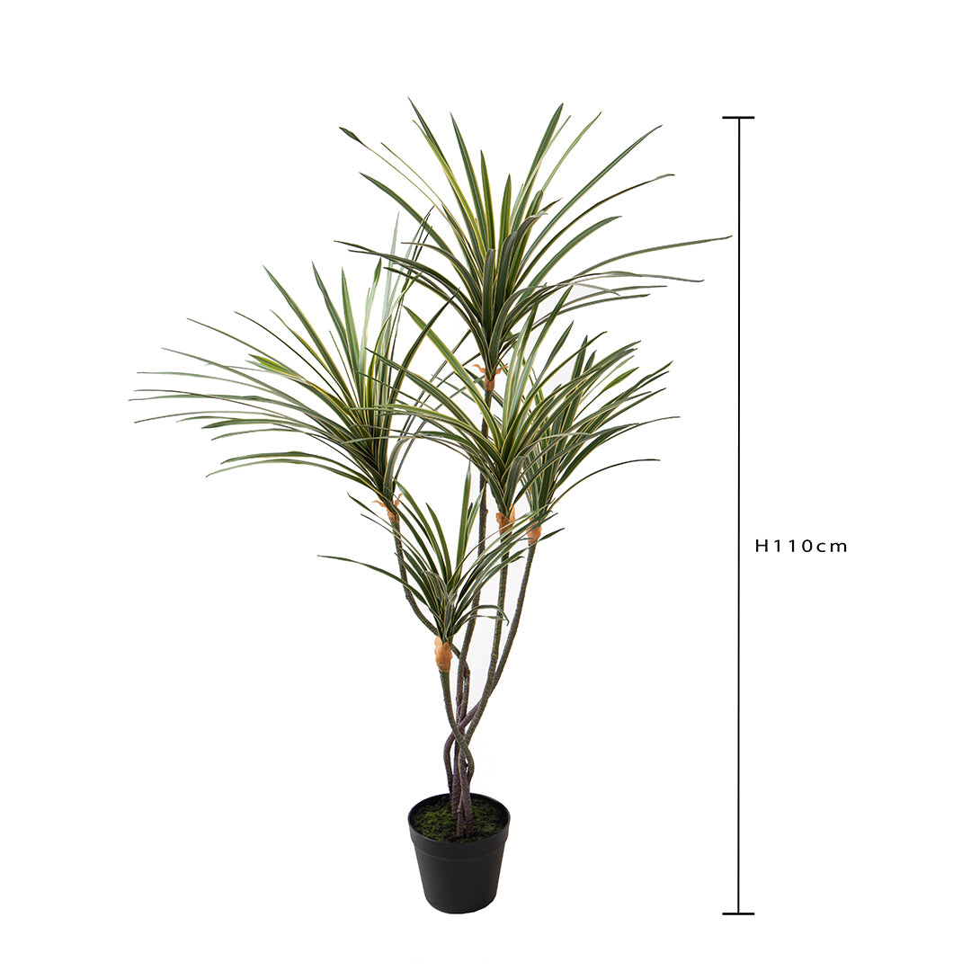 Yucca 145 foglie con Vaso • 110 cm