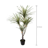 Yucca 145 foglie con Vaso • 110 cm