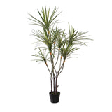 Yucca 261 foglie con Vaso • 150 cm