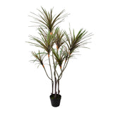 Yucca 261 foglie con Vaso • 150 cm