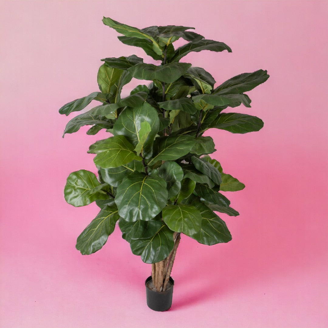 Verde artificiale Ficus lyrata • 180 cm