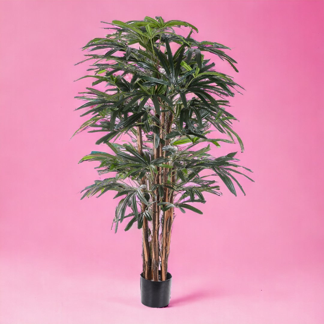 Verde artificiale Rhapis excelsa con vaso • 155 cm