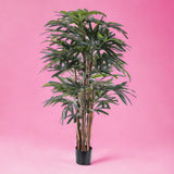 Verde artificiale Rhapis excelsa con vaso • 155 cm