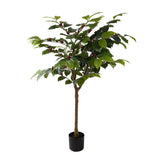 Pianta Caffe 196 F con Vaso R.Touch • 150cm