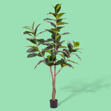 Ficus rubber con 65 foglie • 180 cm