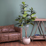 Ficus rubber con 65 foglie • 180 cm