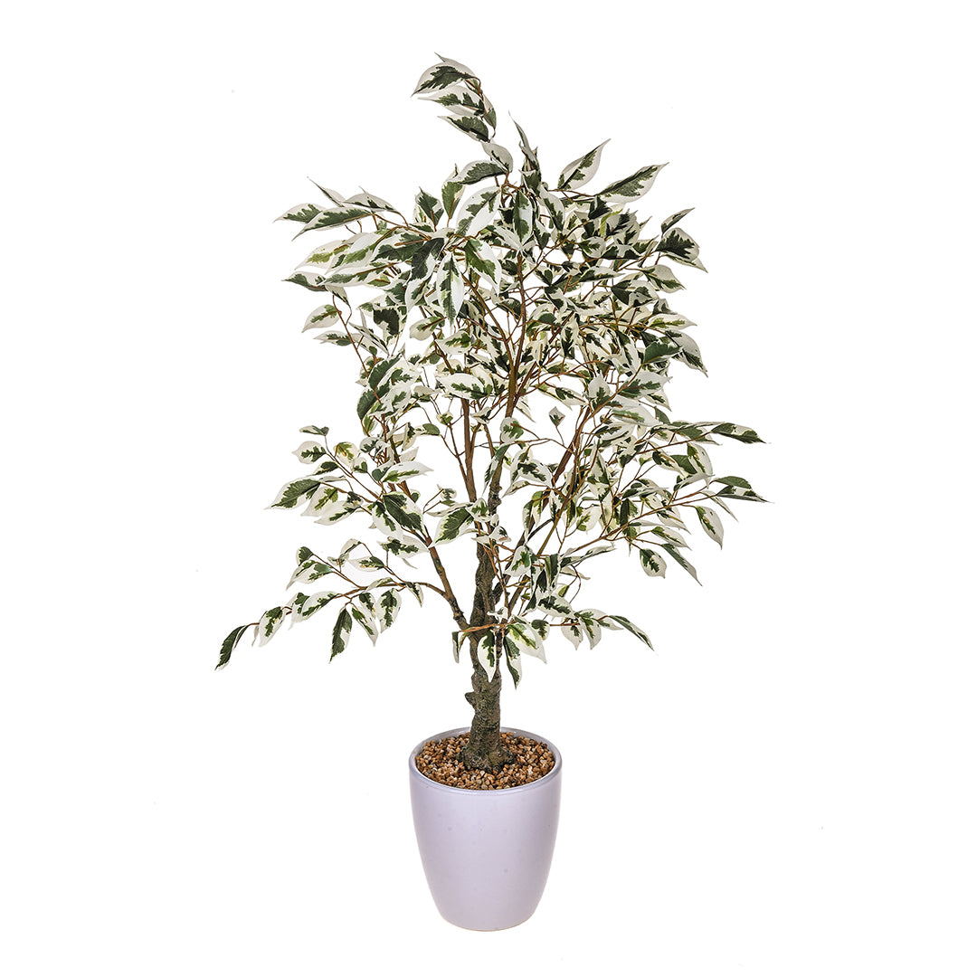 Verde artificiale Ficus con vaso • 70 cm