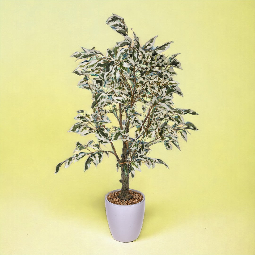 Verde artificiale Ficus con vaso • 70 cm