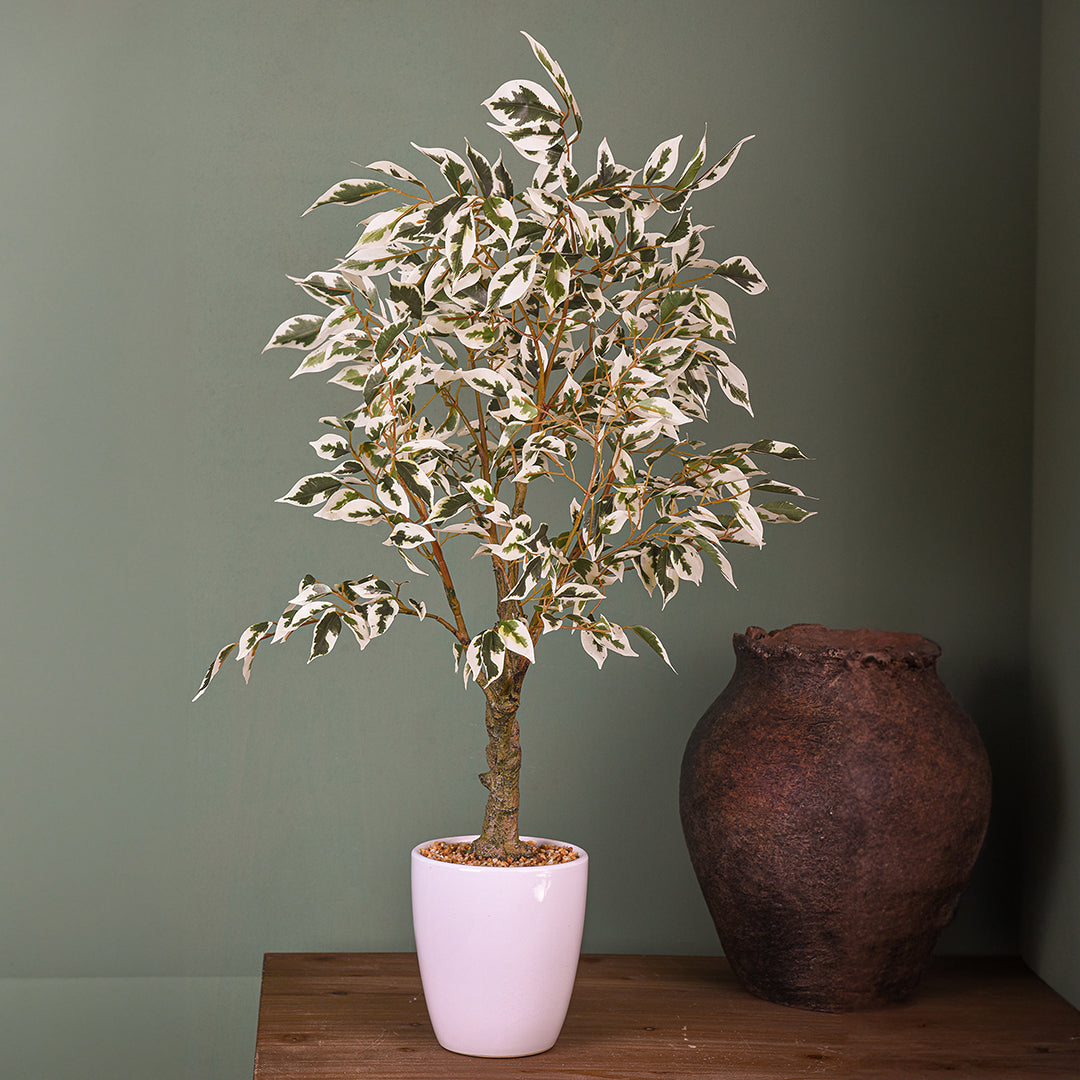 Verde artificiale Ficus con vaso • 70 cm