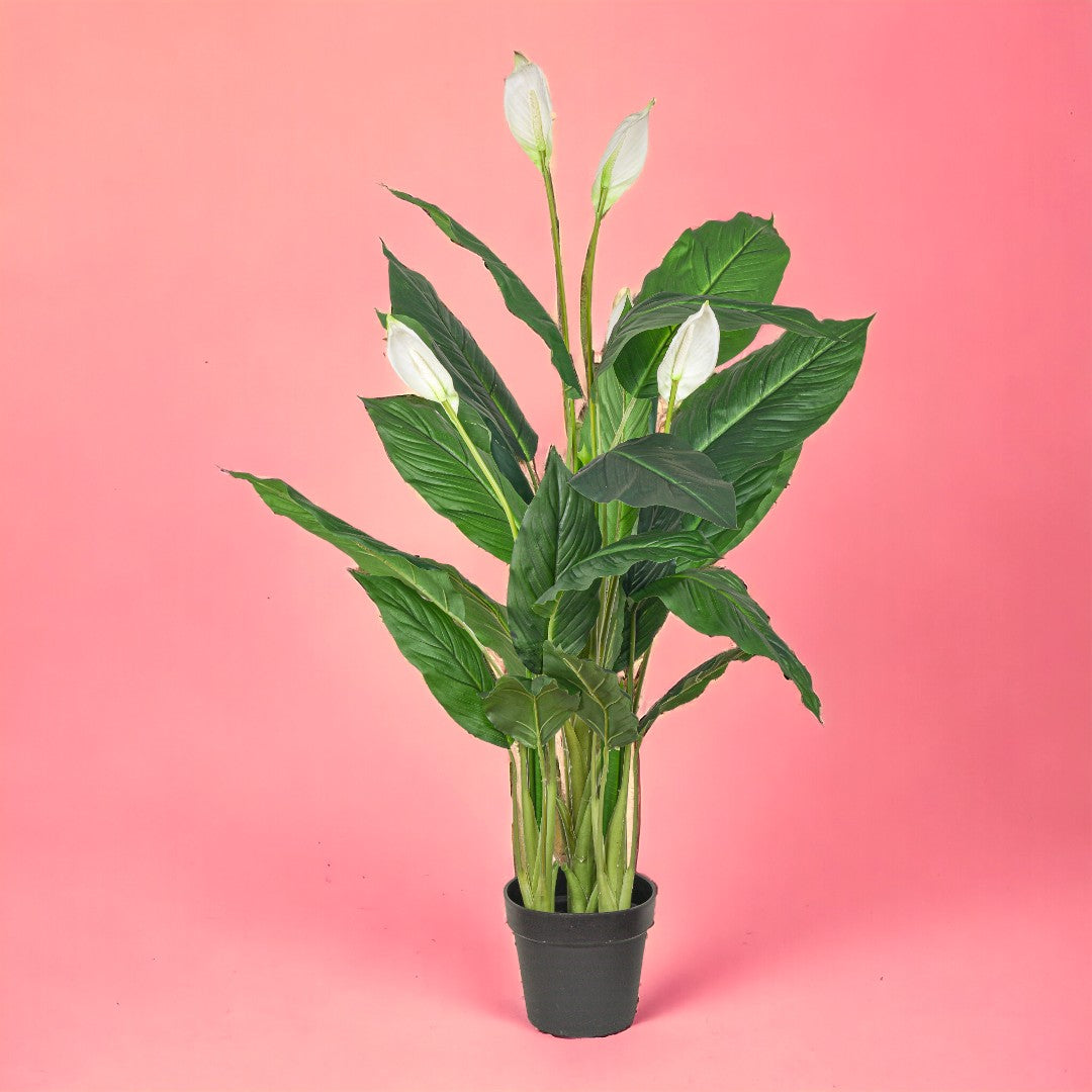 Pianta artificiale Succulent con vaso • 128 cm