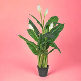 Pianta artificiale Succulent con vaso • 128 cm