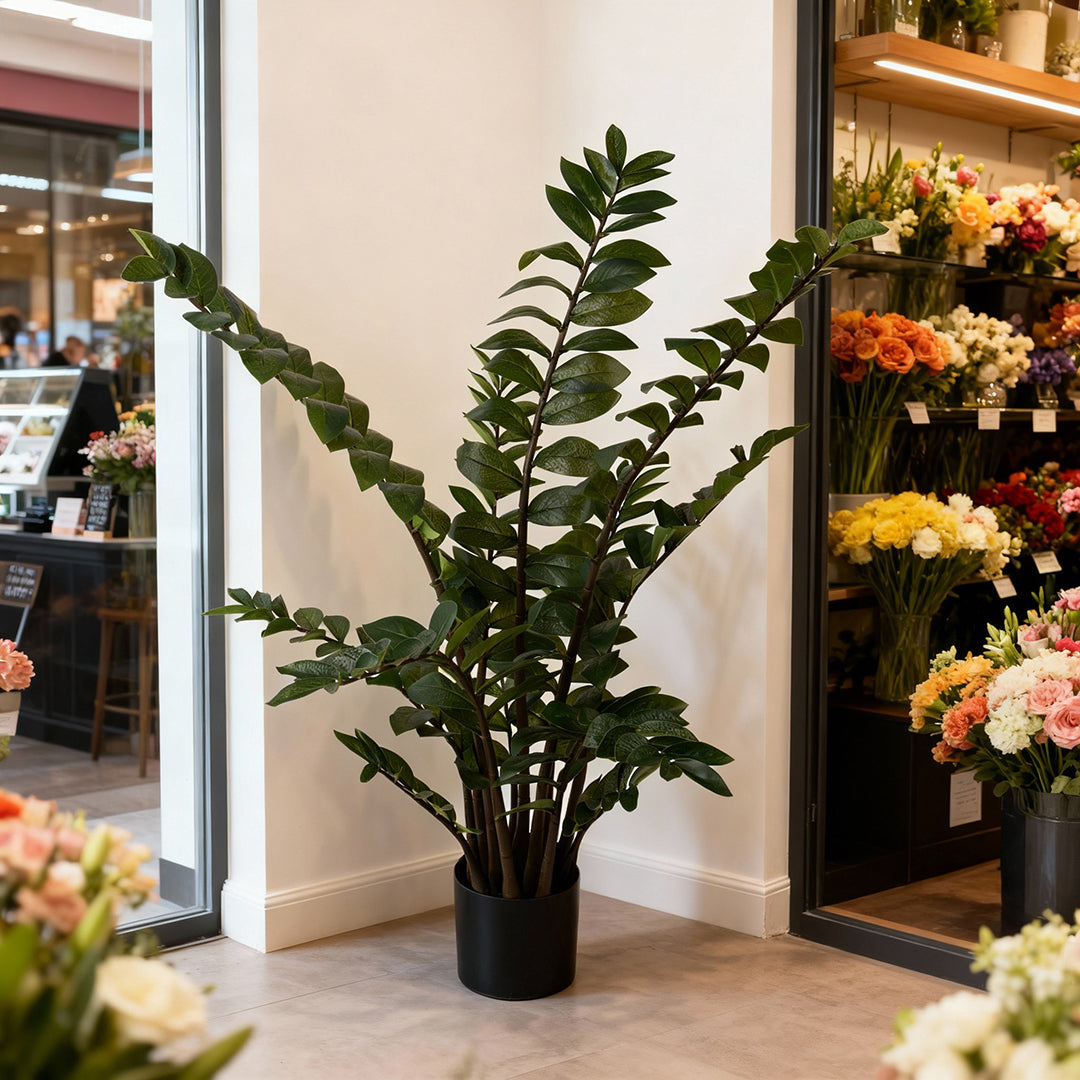 Zamifolia 231 foglie con Vaso • 110 cm
