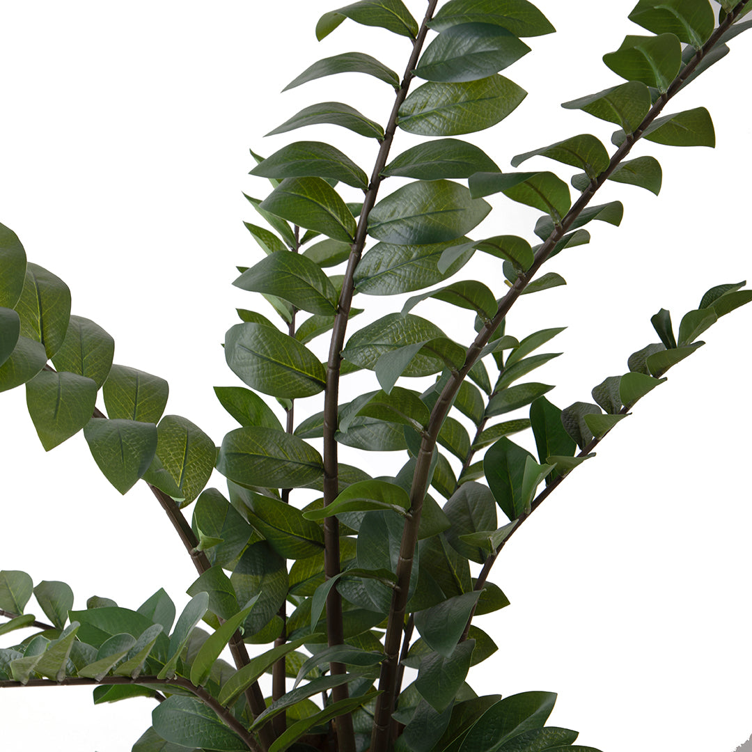 Zamifolia 231 foglie con Vaso • 110 cm