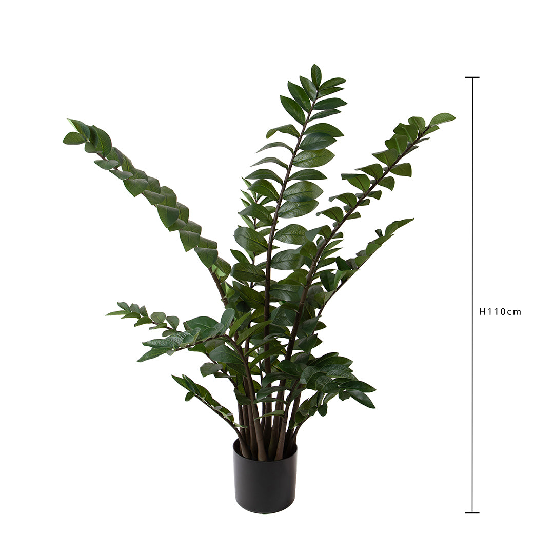 Zamifolia 231 foglie con Vaso • 110 cm