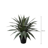 Agave 36 foglie con Vaso • 65 cm