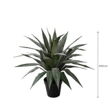 Agave 26 foglie con Vaso • 95 cm