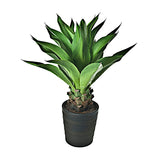 Aloe artificiale con vaso • 90 cm