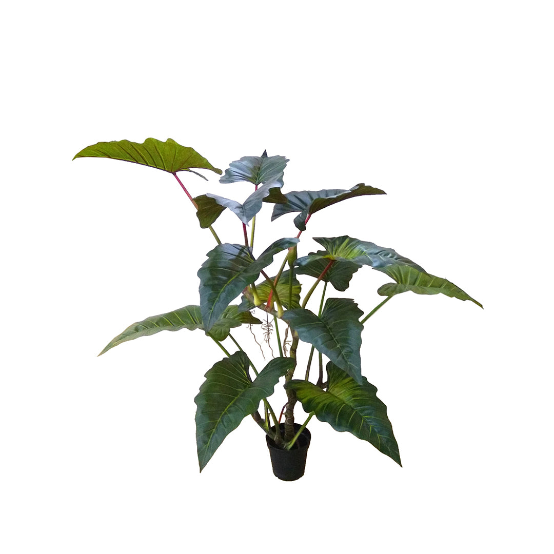 Verde artificiale Colocasia esculenta con vaso • 80 cm