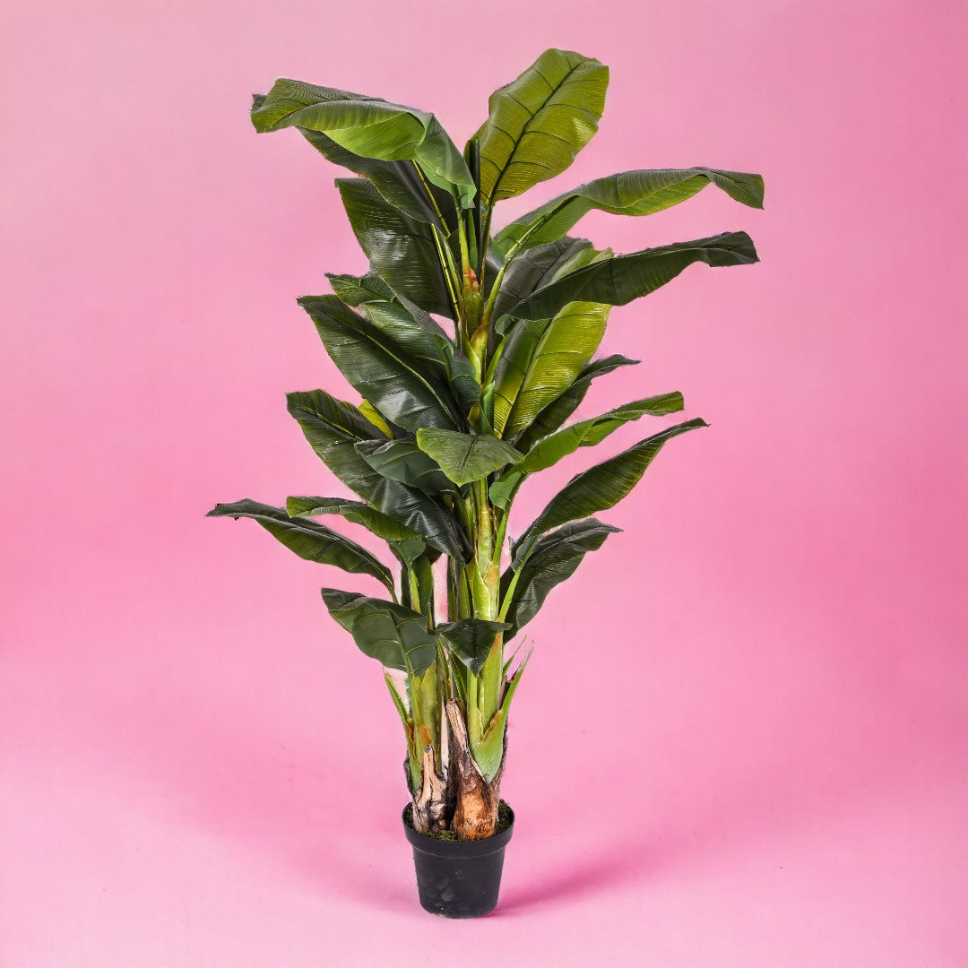 Verde artificiale Banana con vaso • 180 cm