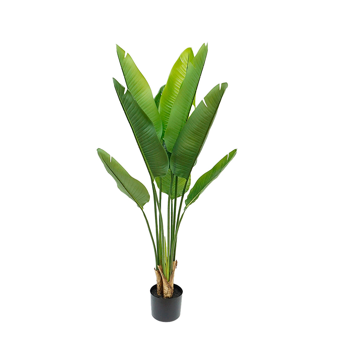 Verde artificiale Real touch sterlizia per 9 con vaso • 110 cm