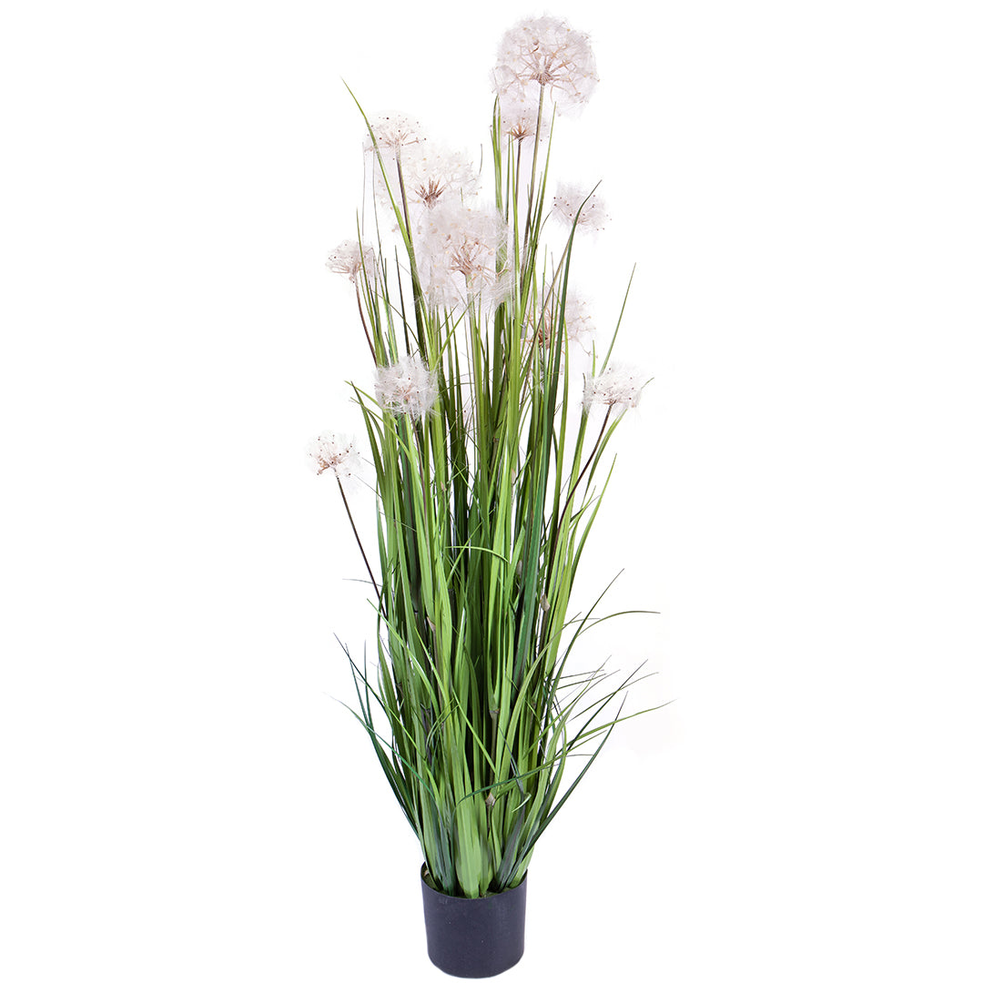 Pianta Dandelion con Vaso • 152 cm