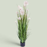 Pianta Dandelion con Vaso • 152 cm