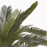 Verde artificiale Cycas con vaso • 72 cm